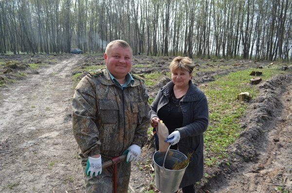 Як на Волині садять ліс. ФОТО